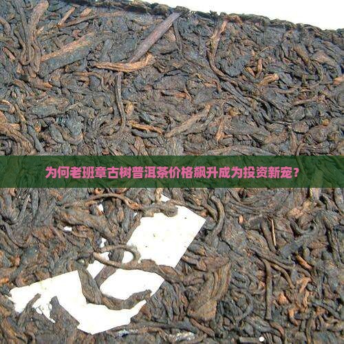 为何老班章古树普洱茶价格飙升成为投资新宠？