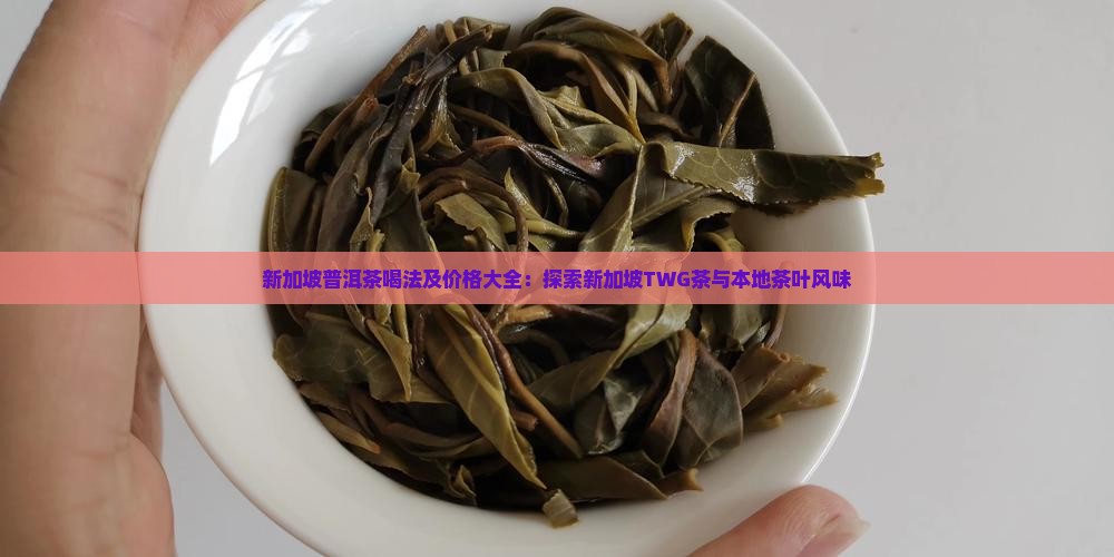 新加坡普洱茶喝法及价格大全：探索新加坡TWG茶与本地茶叶风味