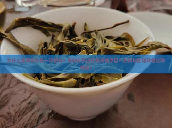 为什么普洱茶会有一种馊味？是储存不当还是其他原因？如何辨别和改善这种味道？