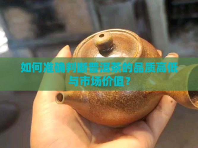 如何准确判断普洱茶的品质高低与市场价值？