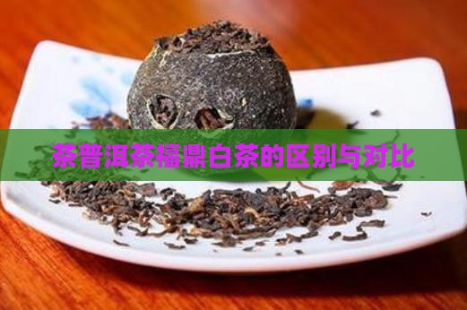 茶普洱茶福鼎白茶的区别与对比