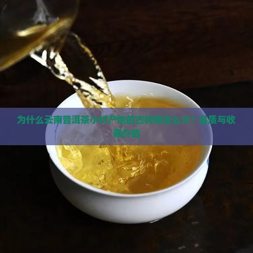 为什么云南普洱茶小村产地的古树茶这么火？品质与收藏价值