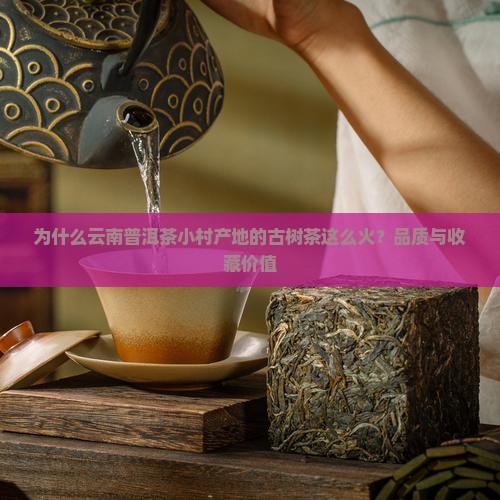 为什么云南普洱茶小村产地的古树茶这么火？品质与收藏价值