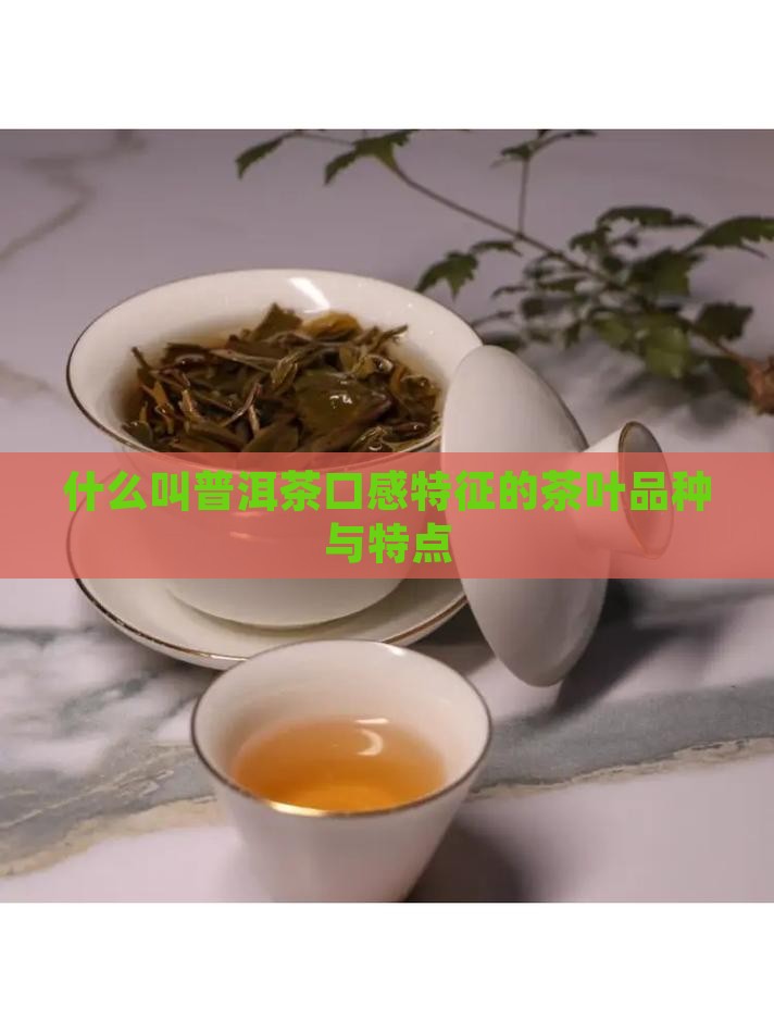 什么叫普洱茶口感特征的茶叶品种与特点