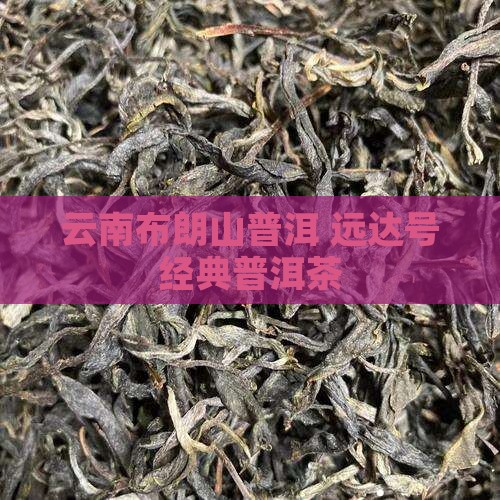 云南布朗山普洱 远达号经典普洱茶