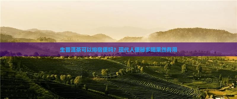 生普洱茶可以排宿便吗？现代人便秘多喝果然有用