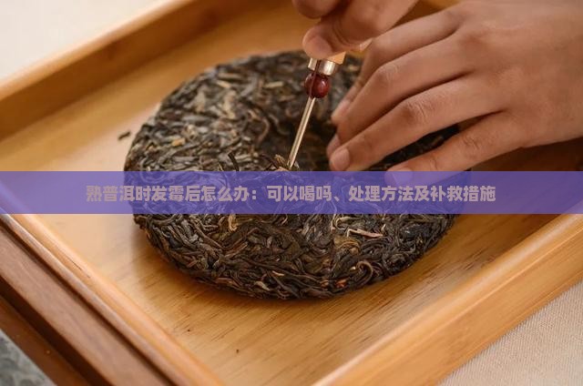 熟普洱时发霉后怎么办：可以喝吗、处理方法及补救措施