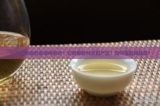 一品好茶指的是哪种茶叶？它有哪些特点和产区？如何鉴别其品质？