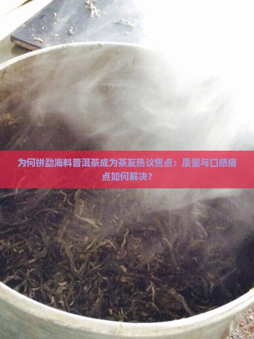 为何拼勐海料普洱茶成为茶友热议焦点：质量与口感痛点如何解决？