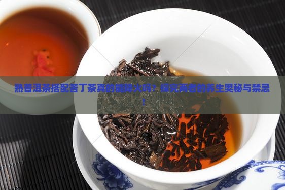 熟普洱茶搭配苦丁茶真的能降火吗？探究两者的养生奥秘与禁忌！