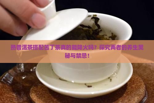 熟普洱茶搭配苦丁茶真的能降火吗？探究两者的养生奥秘与禁忌！