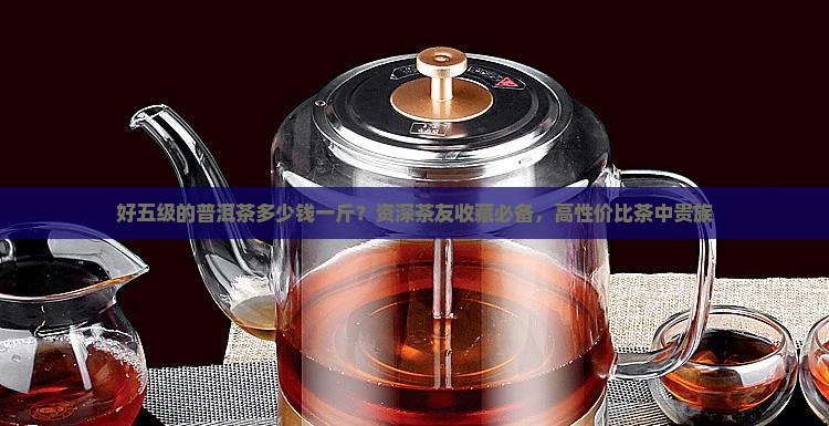 好五级的普洱茶多少钱一斤？资深茶友收藏必备，高性价比茶中贵族