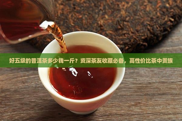 好五级的普洱茶多少钱一斤？资深茶友收藏必备，高性价比茶中贵族