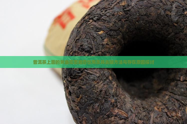 普洱茶上面的黄曲霉菌能否饮用及其去除方法与存在原因探讨