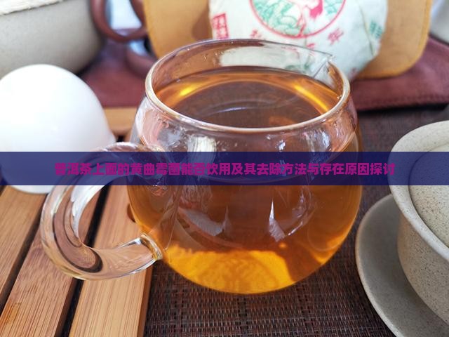 普洱茶上面的黄曲霉菌能否饮用及其去除方法与存在原因探讨