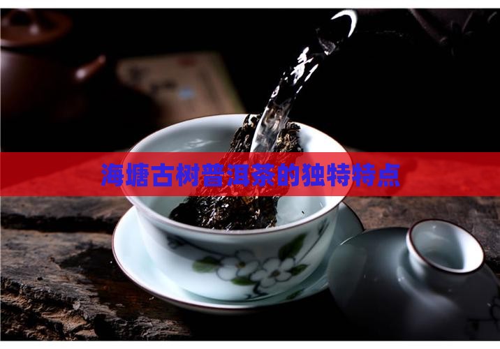 海塘古树普洱茶的独特特点