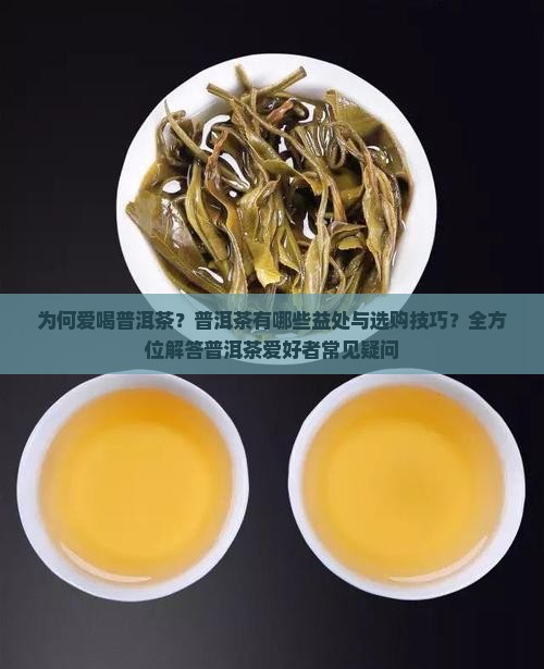 为何爱喝普洱茶？普洱茶有哪些益处与选购技巧？全方位解答普洱茶爱好者常见疑问