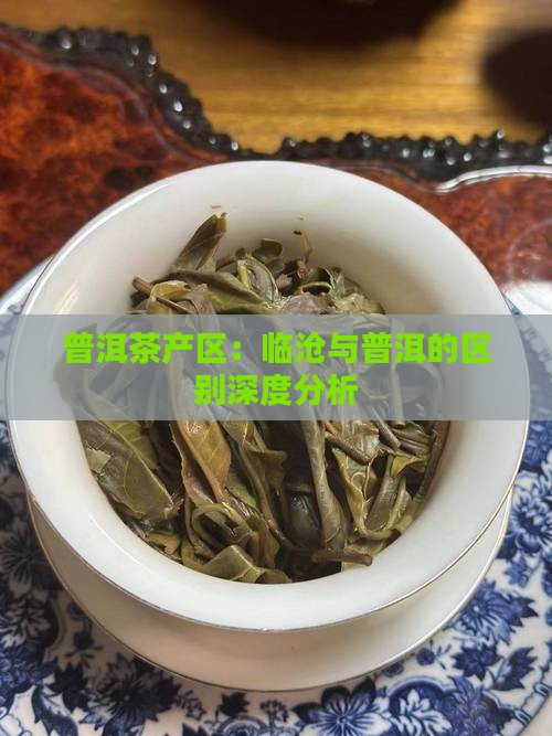 普洱茶产区：临沧与普洱的区别深度分析