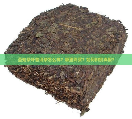 圣知茶叶普洱茶怎么样？哪里购买？如何辨别真假？
