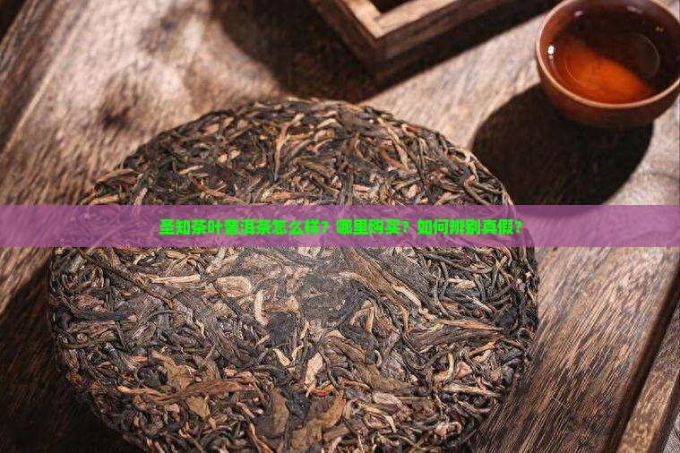 圣知茶叶普洱茶怎么样？哪里购买？如何辨别真假？