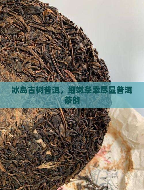 冰岛古树普洱,细嫩条索尽显普洱茶韵 冰岛古树普洱,细嫩条索尽显普洱茶韵