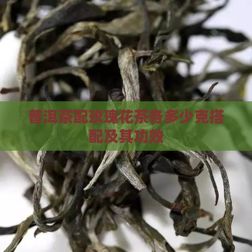 普洱茶配玫瑰花茶各多少克搭配及其功效