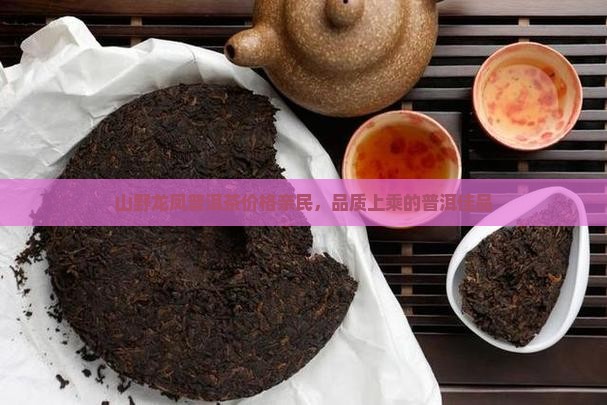 山野龙凤普洱茶价格亲民,品质上乘的普洱佳品 山野龙凤普洱茶价格亲民,品质上乘的普洱佳品