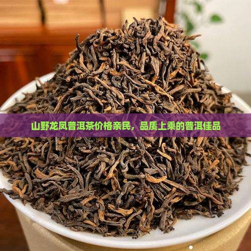 山野龙凤普洱茶价格亲民,品质上乘的普洱佳品 山野龙凤普洱茶价格亲民,品质上乘的普洱佳品
