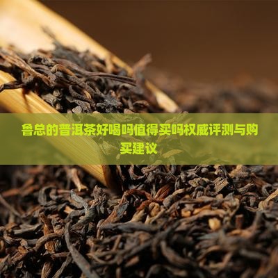 鲁总的普洱茶好喝吗值得买吗权威评测与购买建议