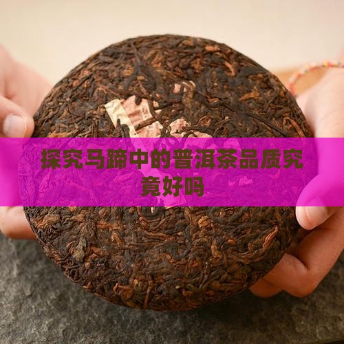 探究马蹄中的普洱茶品质究竟好吗