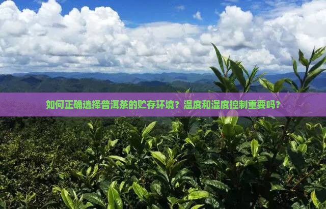 如何正确选择普洱茶的贮存环境?温度和湿度控制重要吗? 如何正确选择普洱茶的贮存环境?温度和湿度控制重要吗?