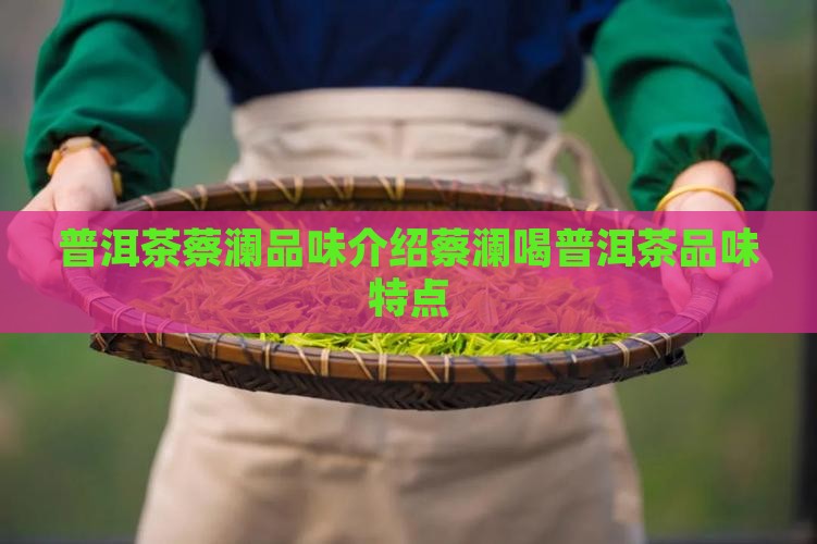 普洱茶蔡澜品味介绍蔡澜喝普洱茶品味特点