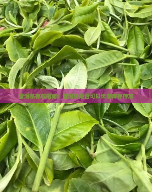 普洱茶存放指南：普洱茶是否可以长期库存存放
