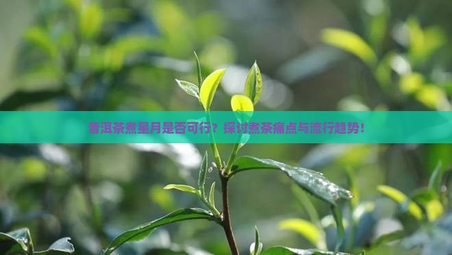 普洱茶煮星月是否可行？探讨煮茶痛点与流行趋势！