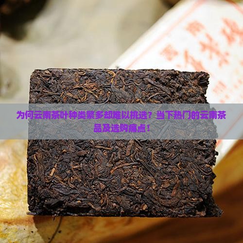 为何云南茶叶种类繁多却难以挑选？当下热门的云南茶品及选购痛点！