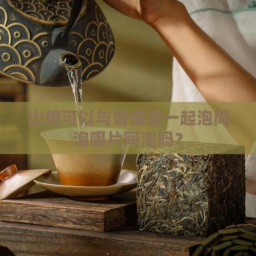 山楂可以与普洱茶一起泡同泡喝片同泡吗？