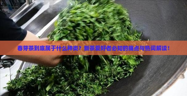 春芽茶到底属于什么种类？新茶爱好者必知的痛点与热词解读！