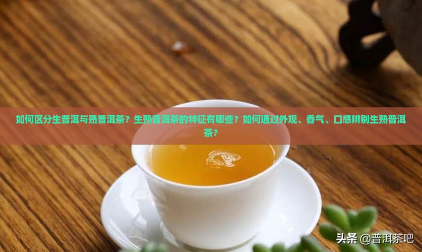 如何区分生普洱与熟普洱茶？生熟普洱茶的特征有哪些？如何通过外观、香气、口感辨别生熟普洱茶？