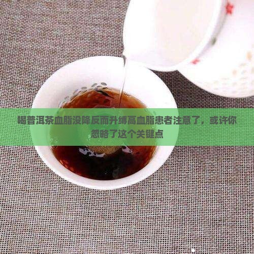 喝普洱茶血脂没降反而升缚高血脂患者注意了，或许你忽略了这个关键点