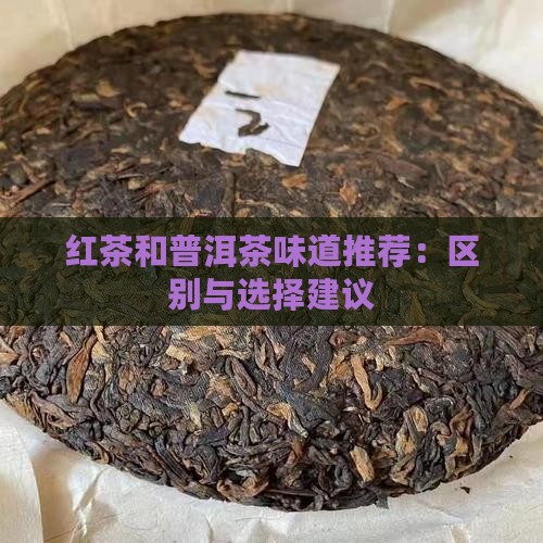 红茶和普洱茶味道推荐：区别与选择建议