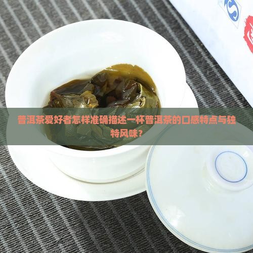 普洱茶爱好者怎样准确描述一杯普洱茶的口感特点与独特风味？