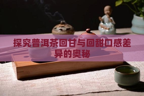 探究普洱茶回甘与回甜口感差异的奥秘
