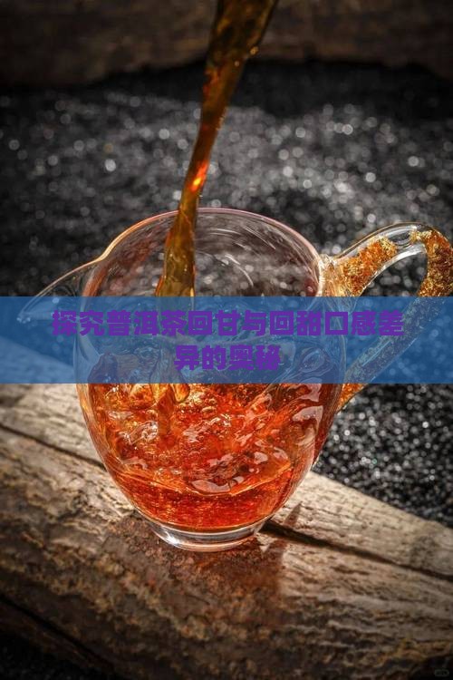 探究普洱茶回甘与回甜口感差异的奥秘