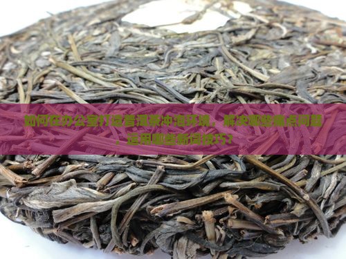 如何在办公室打造普洱茶冲泡环境，解决哪些痛点问题，运用哪些新词技巧？
