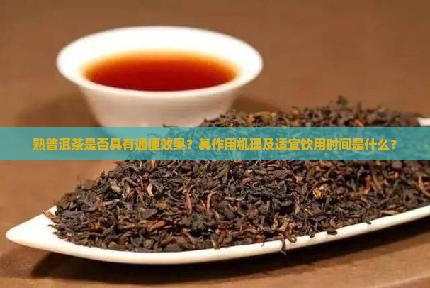 熟普洱茶是否具有通便效果？其作用机理及适宜饮用时间是什么？