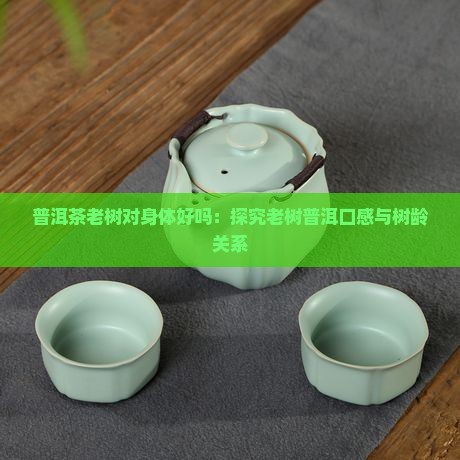 普洱茶老树对身体好吗：探究老树普洱口感与树龄关系