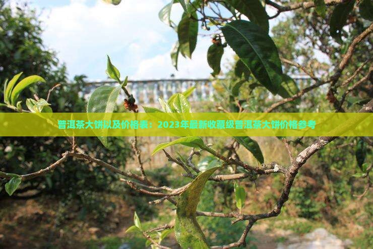 普洱茶大饼以及价格表：2023年最新收藏级普洱茶大饼价格参考