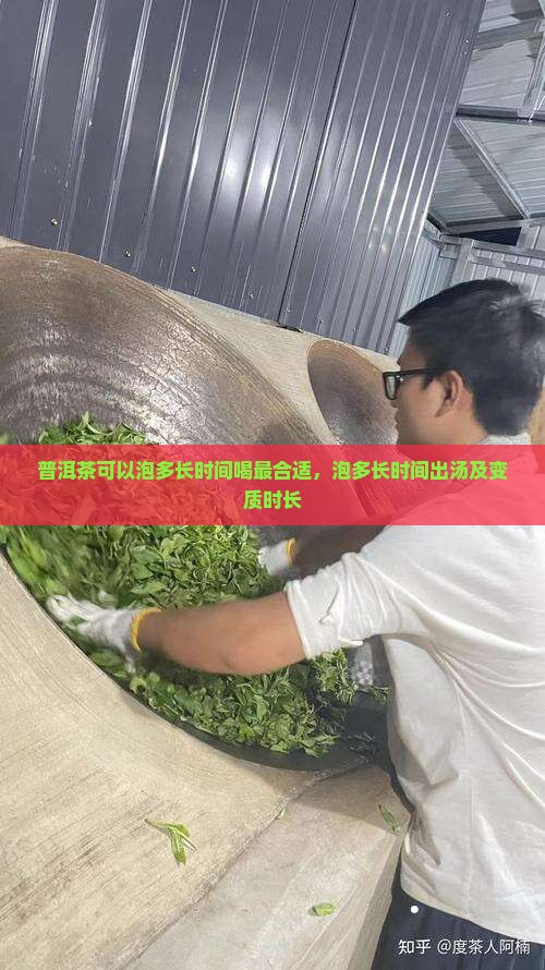 普洱茶可以泡多长时间喝最合适，泡多长时间出汤及变质时长