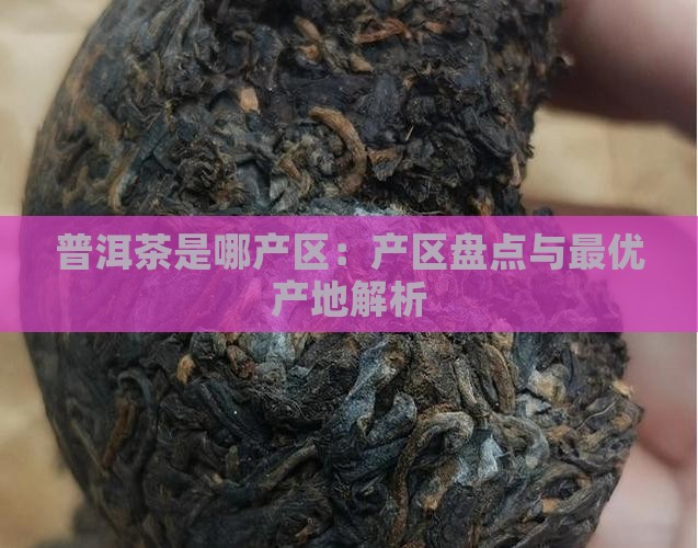 普洱茶是哪产区：产区盘点与最优产地解析