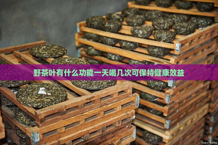 野茶叶有什么功能一天喝几次可保持健康效益